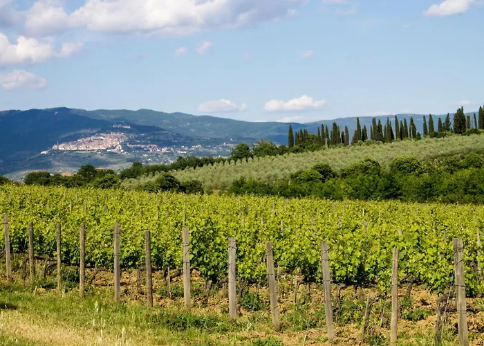 Villa L'antico Mulino Cortona